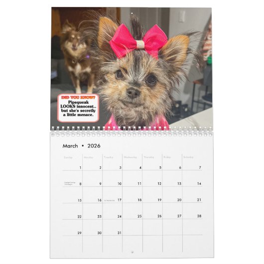 Calendrier The Whole Gang (Mar 2026)