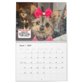 Calendrier The Whole Gang (Mar 2027)