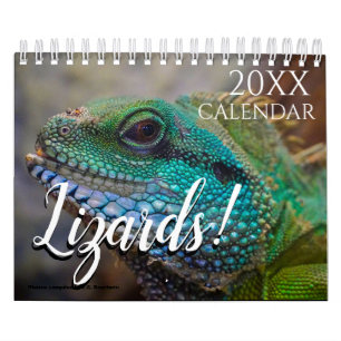 Calendrier Thématique Lézard 2027 Cadeau