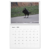 Calendrier Things with Wings: A Wildlife Photography Calendar (Mar 2026)