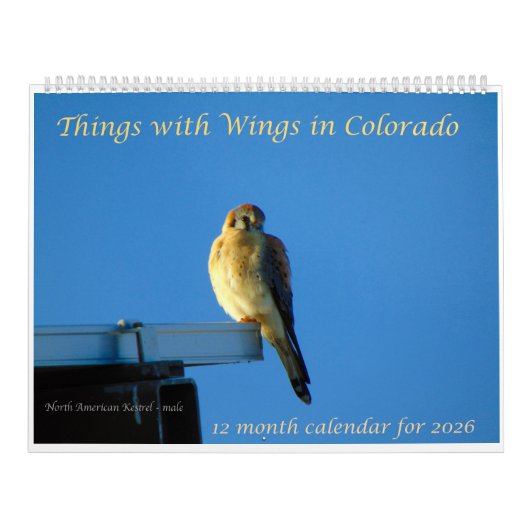 Calendrier Things with Wings: A Wildlife Photography Calendar (Protection)