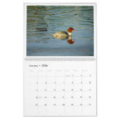 Calendrier Things with Wings: A Wildlife Photography Calendar (Jan 2026)