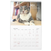 Calendrier Third Edition 2026 Calendar (Jan 2026)