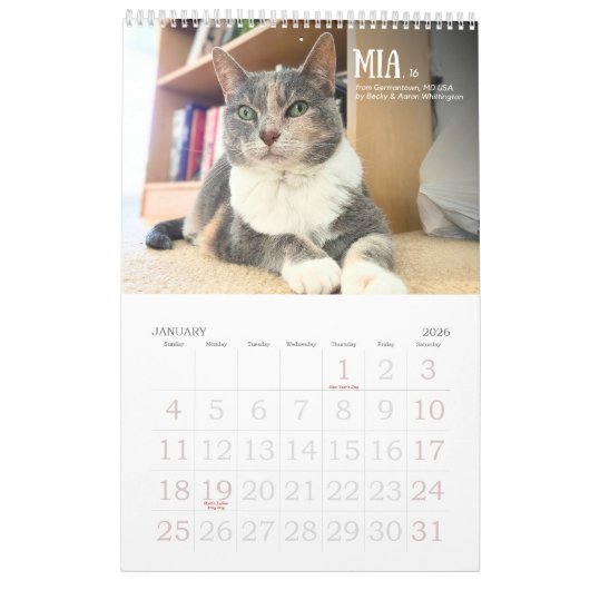 Calendrier Third Edition 2026 Calendar (Jan 2026)