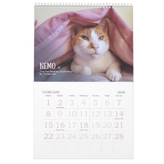 Calendrier Third Edition 2026 Calendar (Feb 2026)