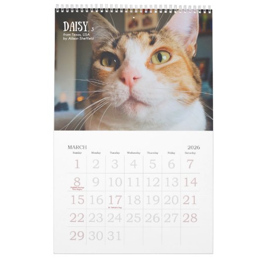 Calendrier Third Edition 2026 Calendar (Mar 2026)