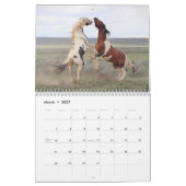 Calendrier Thor & Thora à McCullough Peaks Wild Horses (Mar 2027)