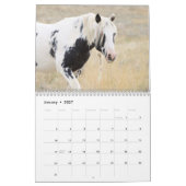 Calendrier Thor & Thora à McCullough Peaks Wild Horses (Jan 2027)