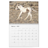 Calendrier Thor & Thora à McCullough Peaks Wild Horses (Feb 2027)