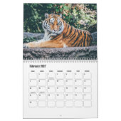 Calendrier Tiger (Feb 2027)