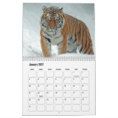 Calendrier Tiger (Jan 2027)