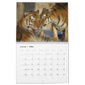 Calendrier Tiger Photographie Animal sauvage 2025 (Jan 2026)