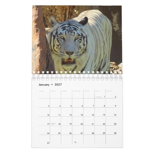 Calendrier Tigre (Jan 2027)