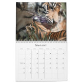 Calendrier Tigre CUB (Mar 2027)