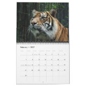 Calendrier Tigre de Sumatran (Feb 2027)
