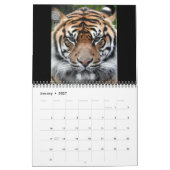 Calendrier Tigre de Sumatran (Jan 2027)