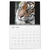 Calendrier Tigre de Sumatran (Mar 2027)