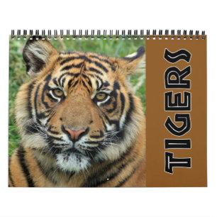 Calendrier Tigre Sauvage Actuel