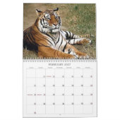 Calendrier Tigres (Feb 2027)
