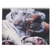Calendrier Tigres (Protection)
