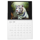 Calendrier Tigres blancs chinois #2 (Mar 2027)