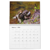 Calendrier Toadgasm (Feb 2026)