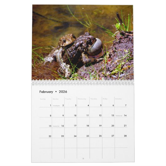 Calendrier Toadgasm (Feb 2026)