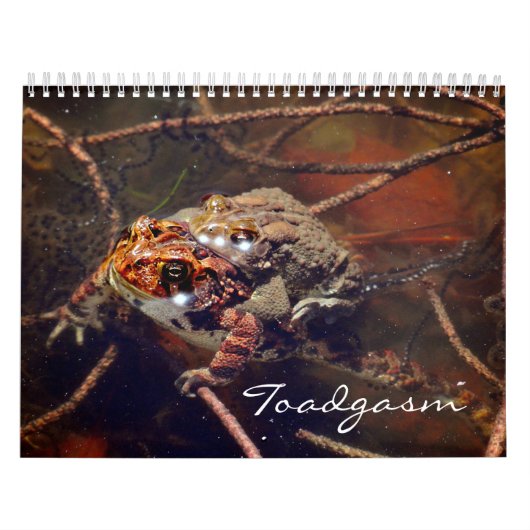 Calendrier Toadgasm (Protection)
