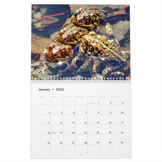 Calendrier Toadgasm (Jan 2026)