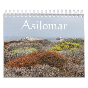 Calendrier Toile de Californie : Asilomar