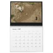 Calendrier Toilettes de l'Ombrie (Jan 2027)
