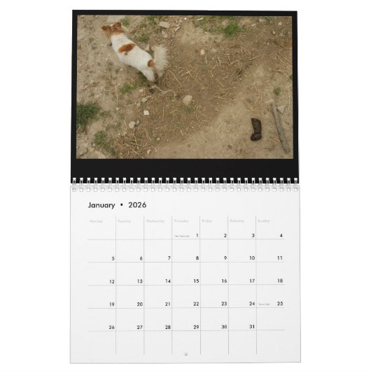 Calendrier Toilettes de l'Ombrie (Jan 2026)