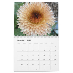 Calendrier TooleyWoods 2023