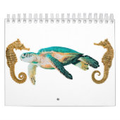 Calendrier Tortue de mer (Protection)
