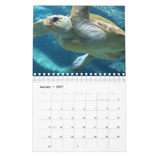 Calendrier Tortue de mer (Jan 2027)