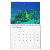Calendrier Tortue de mer (Feb 2027)