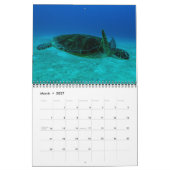 Calendrier Tortues de mer de Corail 2021 (Mar 2027)