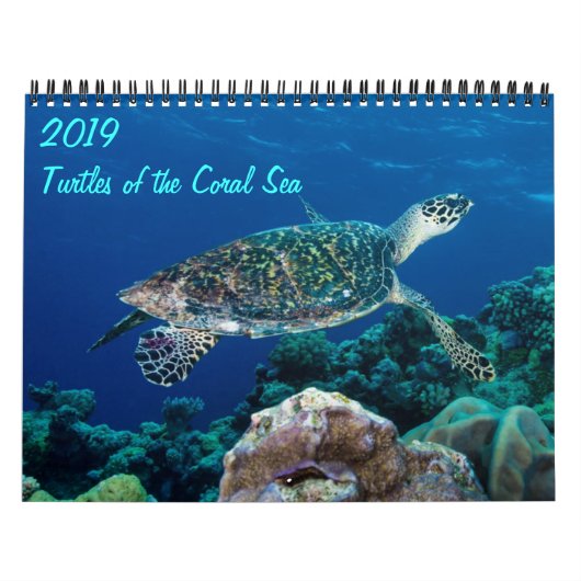 Calendrier Tortues de mer de Corail 2021 (Protection)