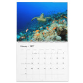 Calendrier Tortues de mer et tortues (Feb 2027)