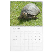Calendrier Tortues de mer et tortues (Mar 2027)