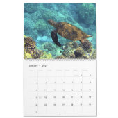 Calendrier Tortues de mer et tortues (Jan 2027)