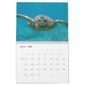 Calendrier Tortues d'Hawaï (Mar 2026)