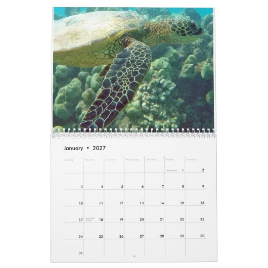 Calendrier Tortues d'Hawaï (Jan 2027)