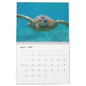 Calendrier Tortues hawaïennes (Mar 2027)
