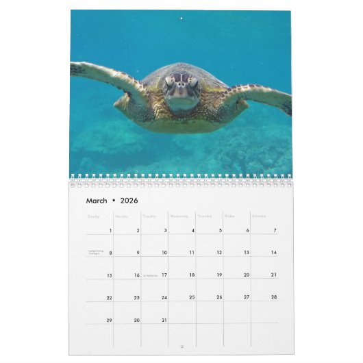 Calendrier Tortues hawaïennes (Mar 2026)