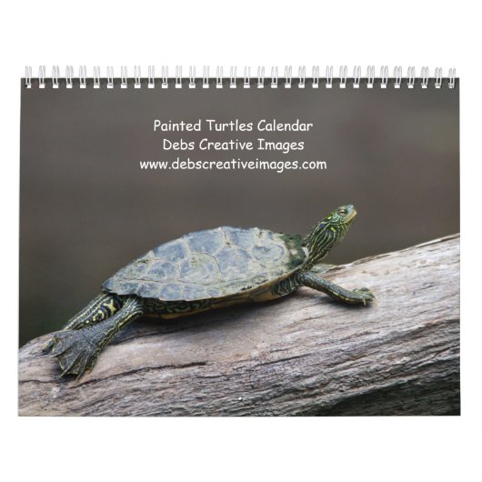 Calendrier Tortues peintes 2026 (Protection)