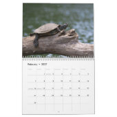 Calendrier Tortues peintes 2026 (Feb 2027)