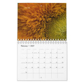 Calendrier Tournesol (Feb 2027)