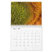 Calendrier Tournesol (Mar 2027)