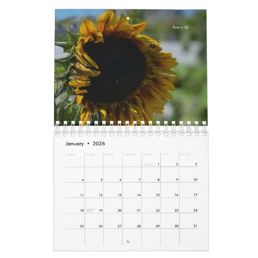 Calendrier Tournesol (Jan 2026)